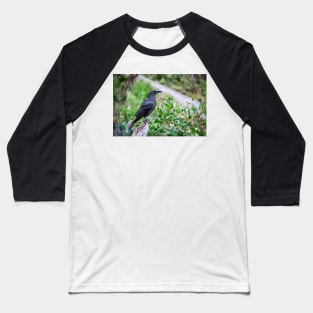 Tasmanian Wildlife Baseball T-Shirt